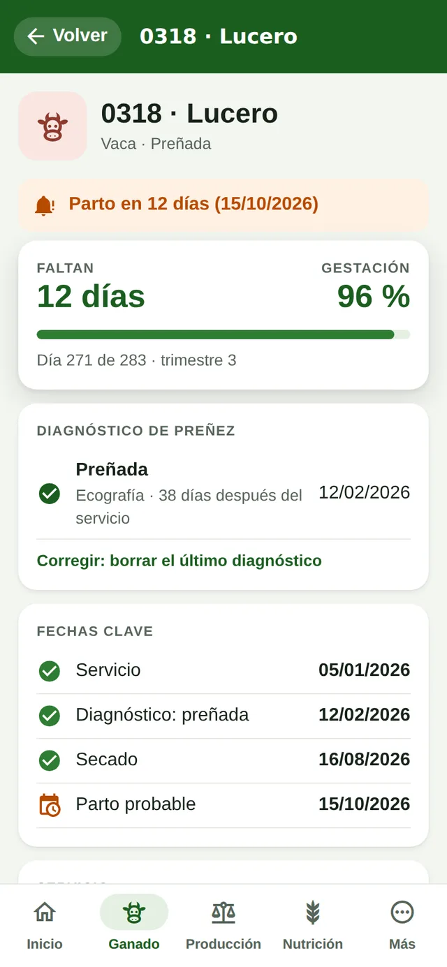 Gestación de una vaca en el teléfono